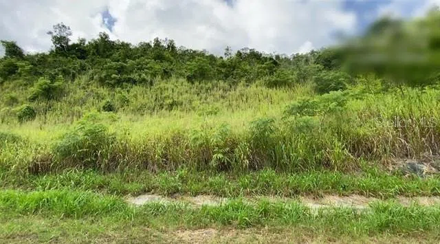CARR 30 & CARR 203 Gurabo, PR 00778