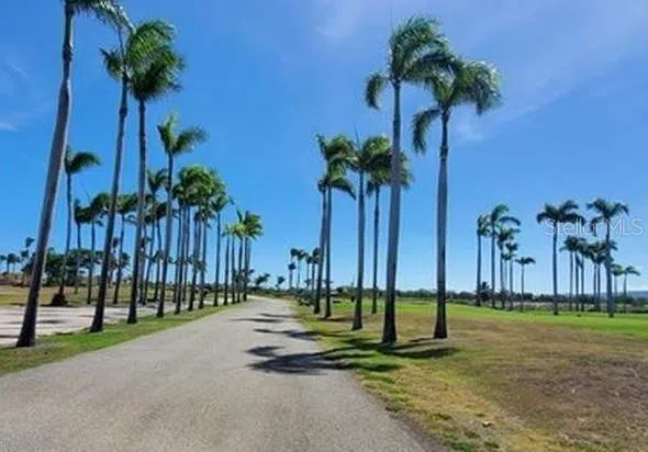 CARR 1 Ponce, PR 00716