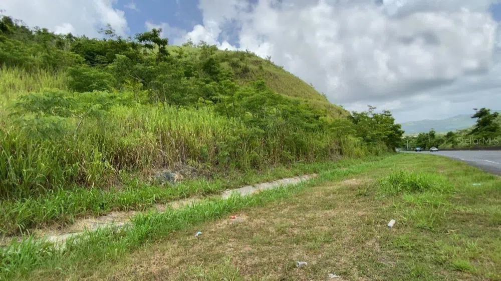 CARR 30 & CARR 203 Gurabo, PR 00778