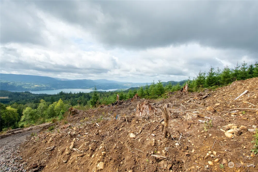 323 Short Road Morton, WA 98356