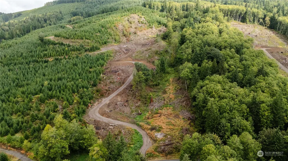 323 Short Road Morton, WA 98356