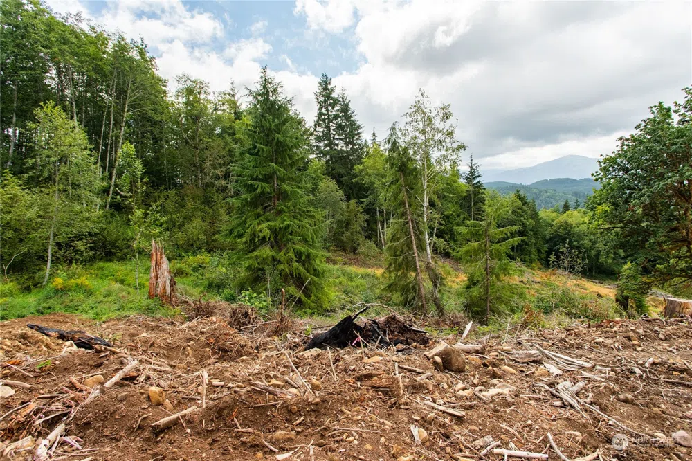 323 Short Road Morton, WA 98356