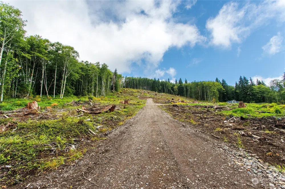 347 Short Road Morton, WA 98356