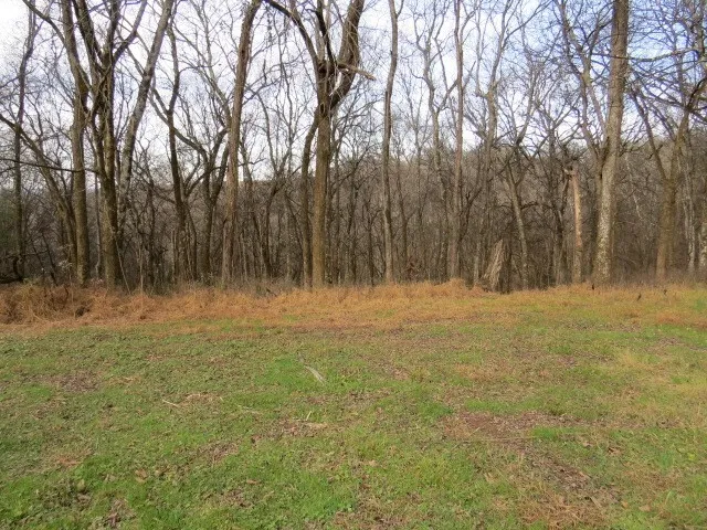 958 dollar hollow road Pulaski, TN 38478