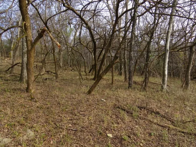 958 dollar hollow road Pulaski, TN 38478