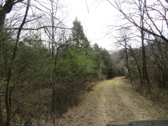 958 dollar hollow road Pulaski, TN 38478