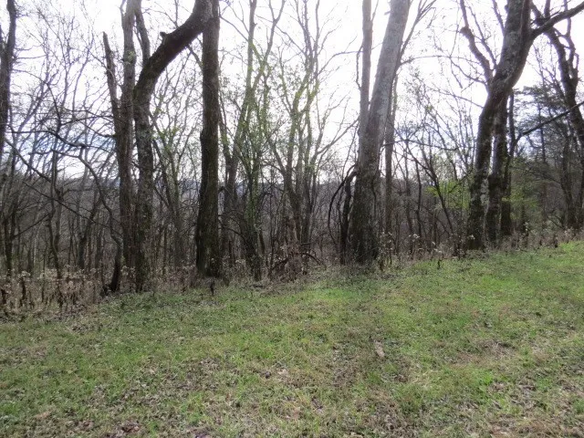 958 dollar hollow road Pulaski, TN 38478