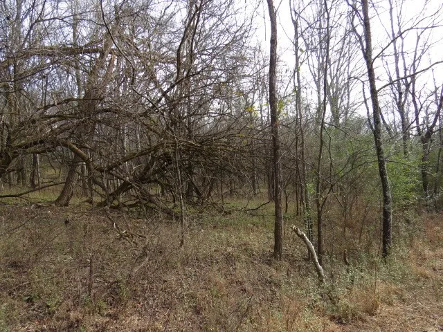 958 dollar hollow road Pulaski, TN 38478
