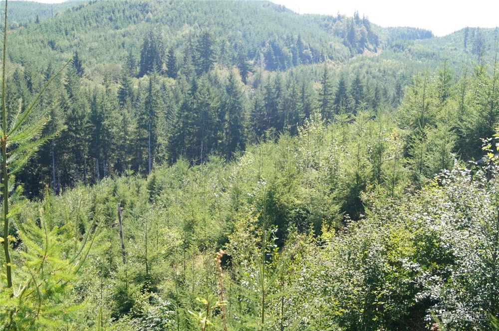 0 Off of Lund Road Cosmopolis, WA 98537