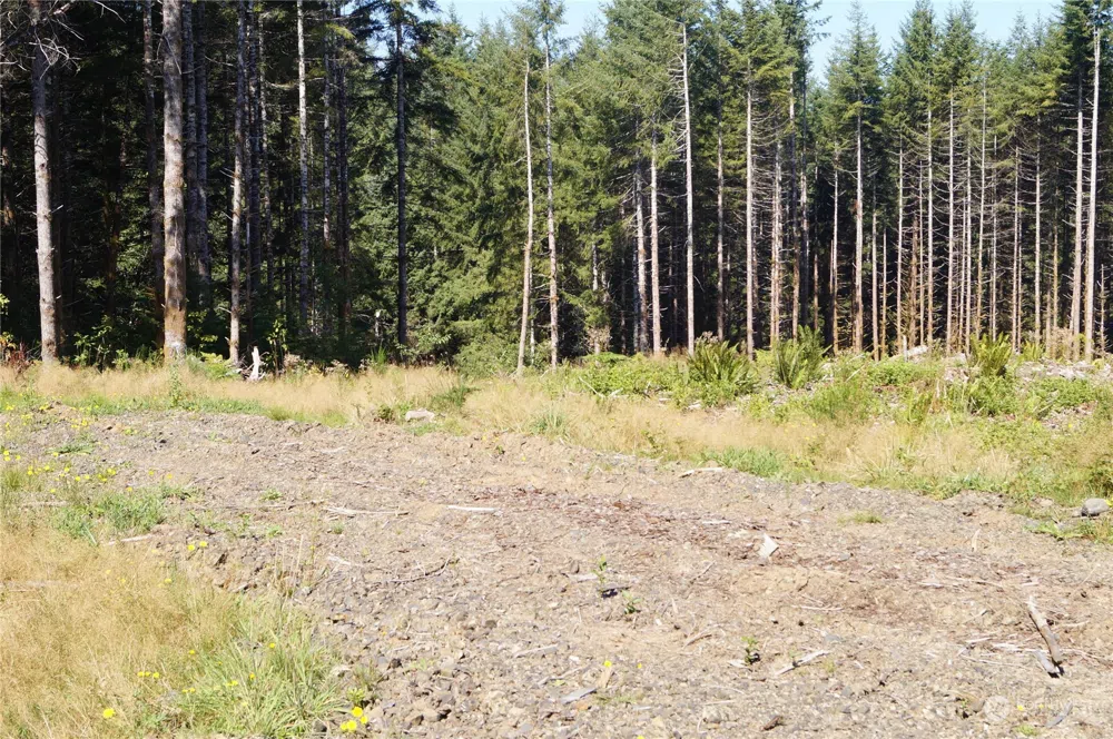 0 Off of Lund Road Cosmopolis, WA 98537