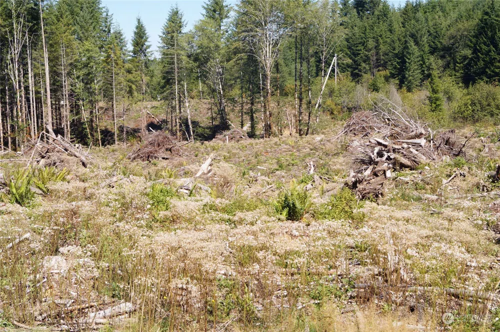 0 Off of Lund Road Cosmopolis, WA 98537