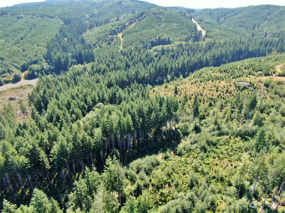 0 Off of Lund Road Cosmopolis, WA 98537