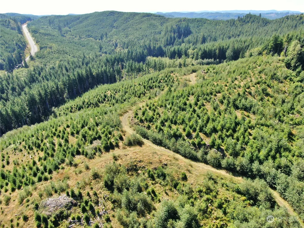 0 Off of Lund Road Cosmopolis, WA 98537