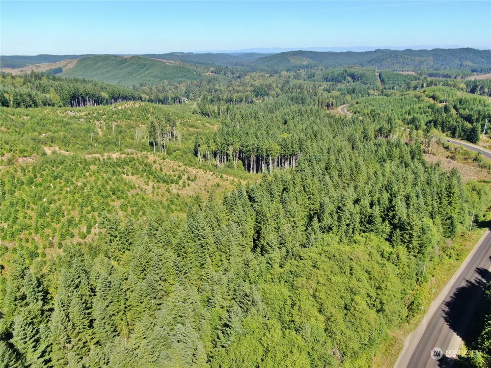 0 Off of Lund Road Cosmopolis, WA 98537