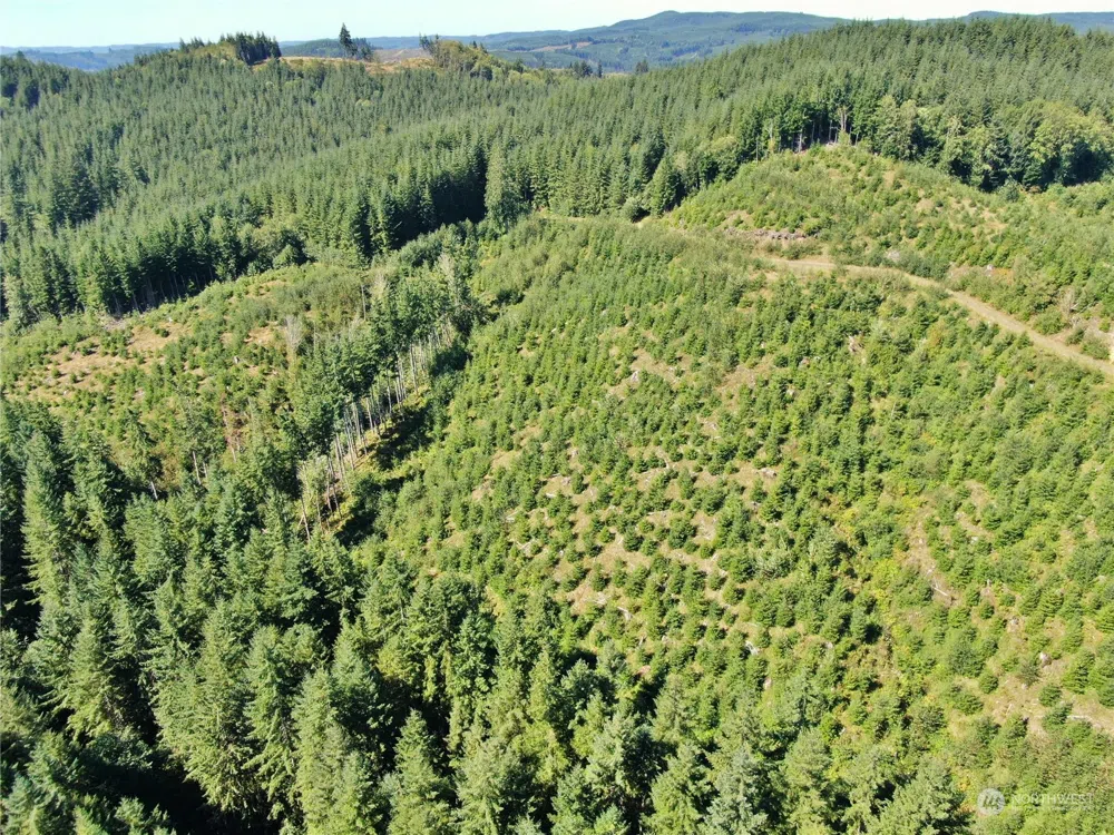 0 Off of Lund Road Cosmopolis, WA 98537