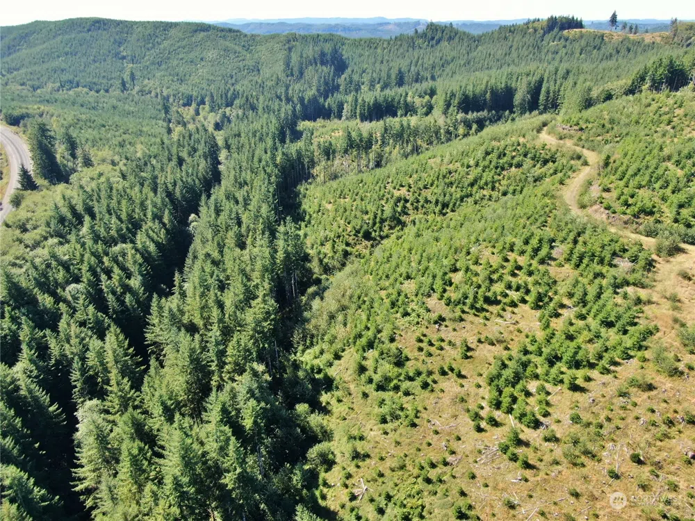 0 Off of Lund Road Cosmopolis, WA 98537