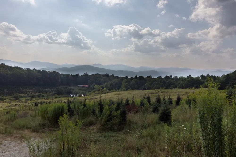 Tract 4 Olympus Road