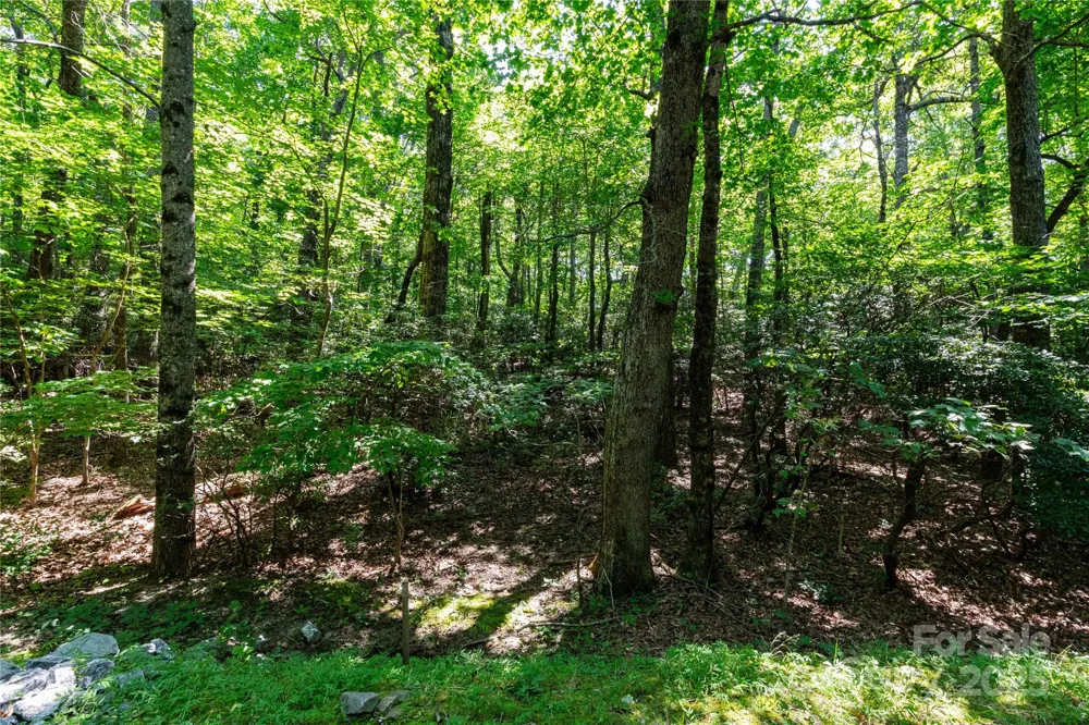 9999 Arrowhead Trail #74, 75, and 76 Columbus, NC 28722