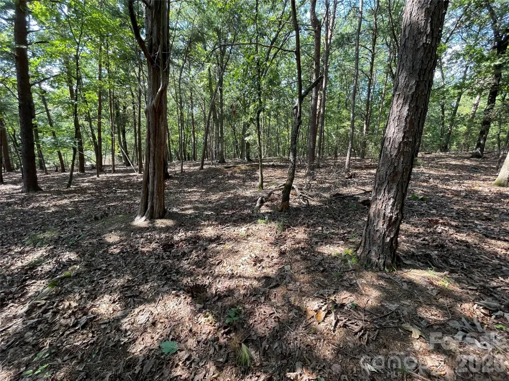 135 Deep Water Court #136 PH9 New London, NC 28127