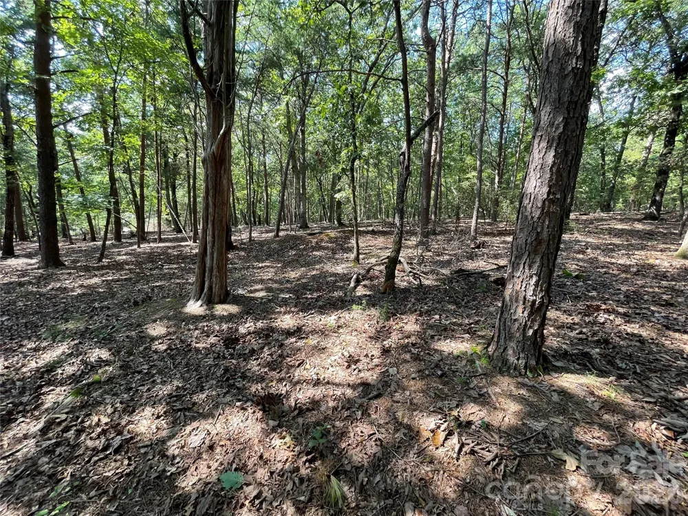 135 Deep Water Court #136 PH9 New London, NC 28127