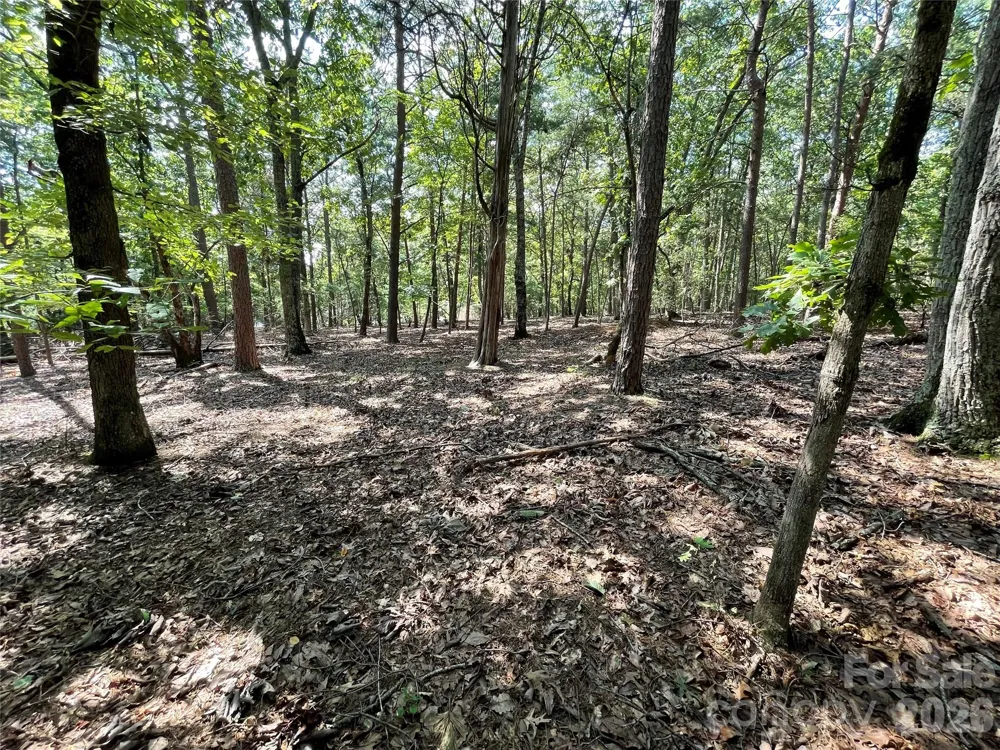 135 Deep Water Court #136 PH9 New London, NC 28127
