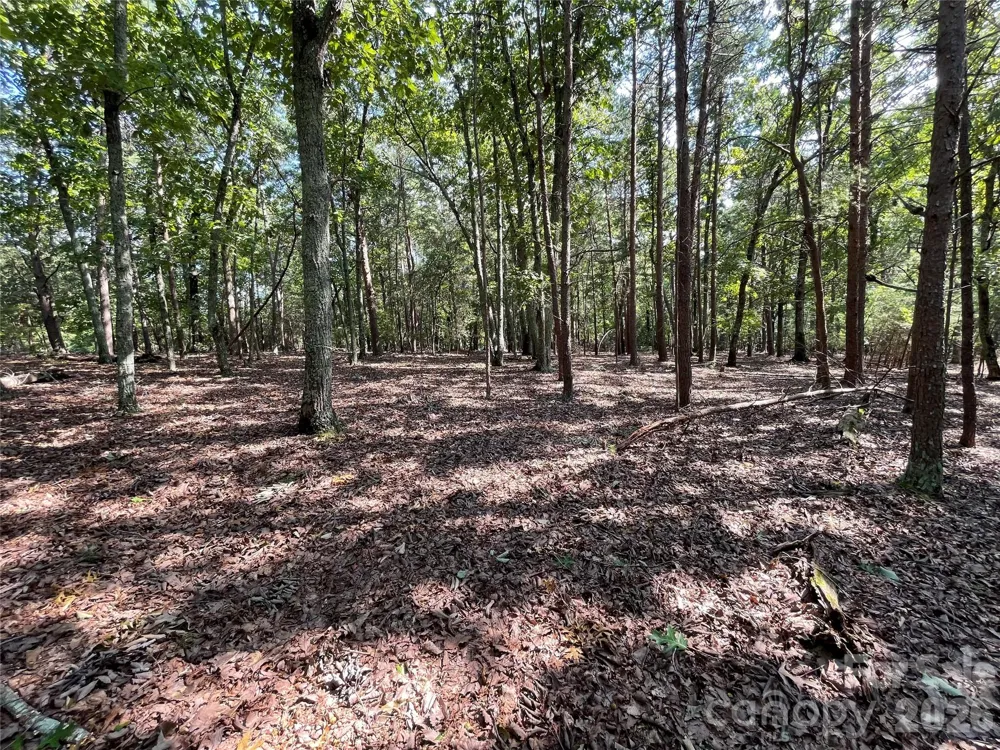 135 Deep Water Court #136 PH9 New London, NC 28127
