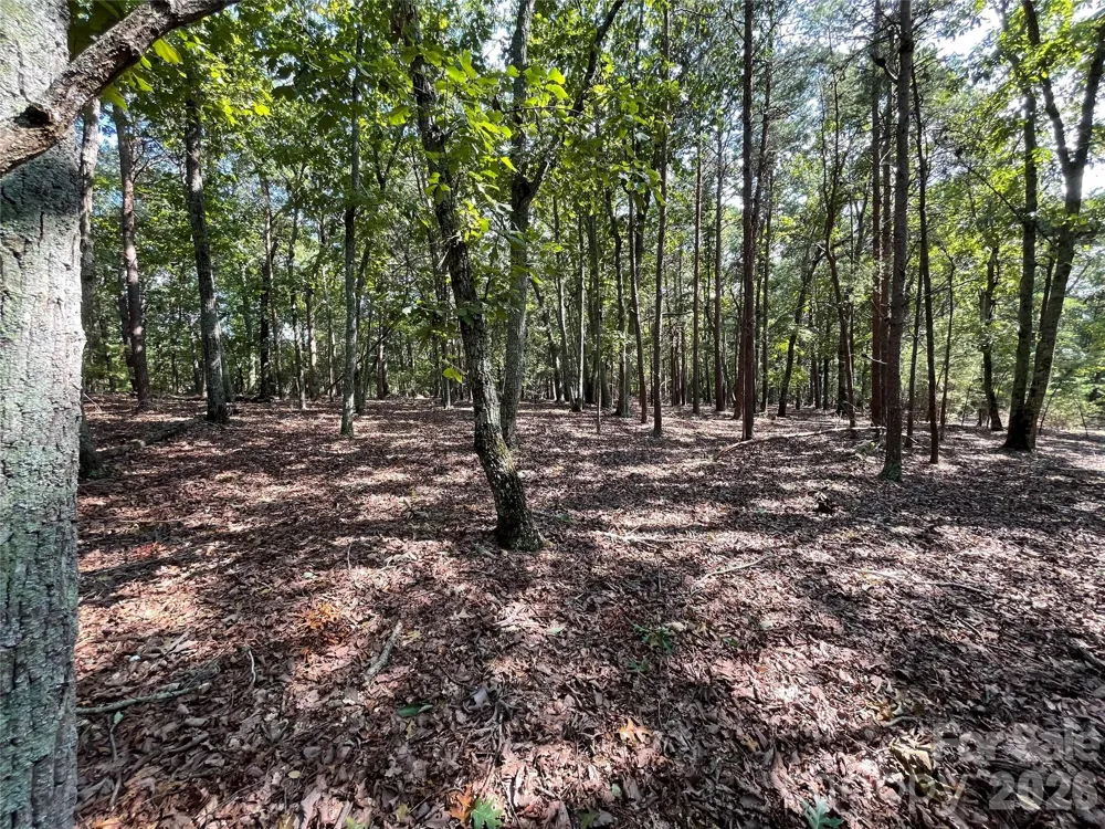 135 Deep Water Court #136 PH9 New London, NC 28127