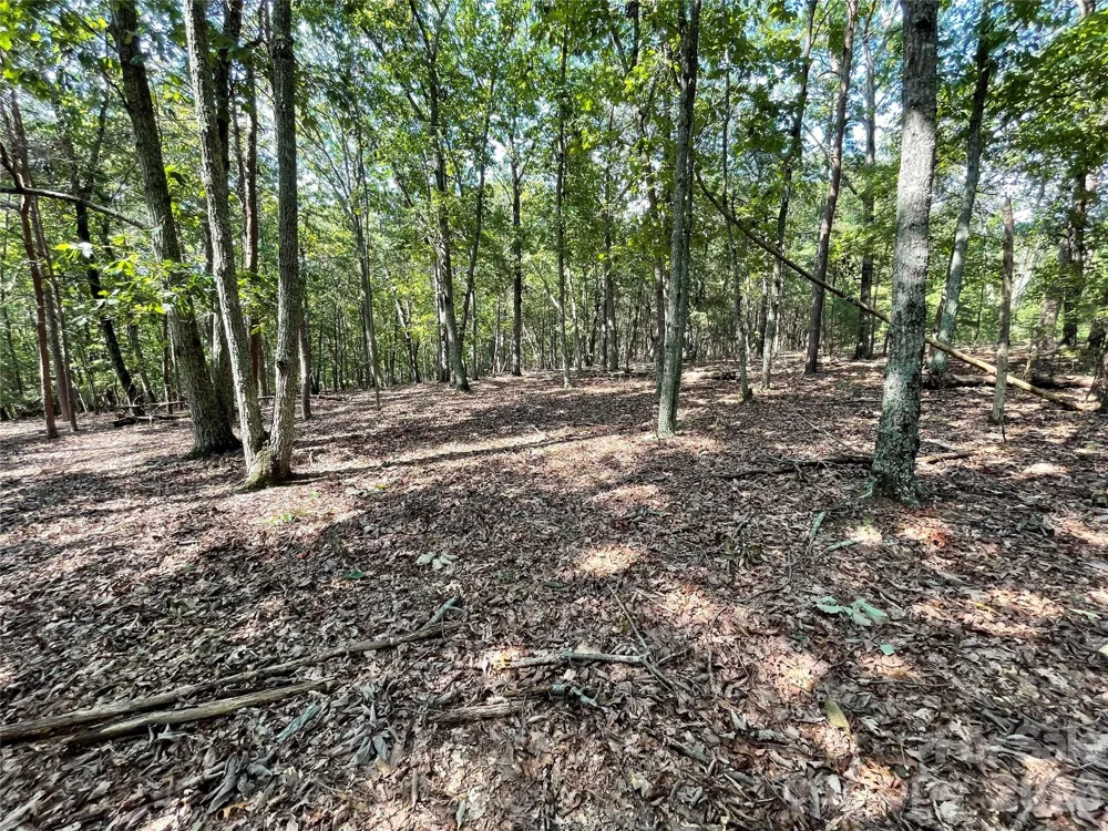 135 Deep Water Court #136 PH9 New London, NC 28127