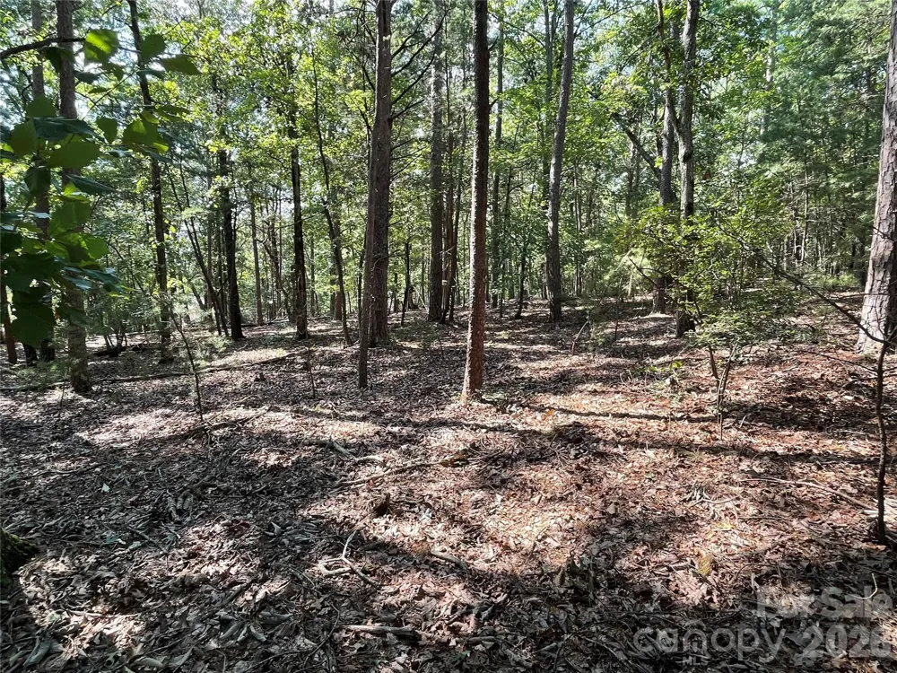 135 Deep Water Court #136 PH9 New London, NC 28127