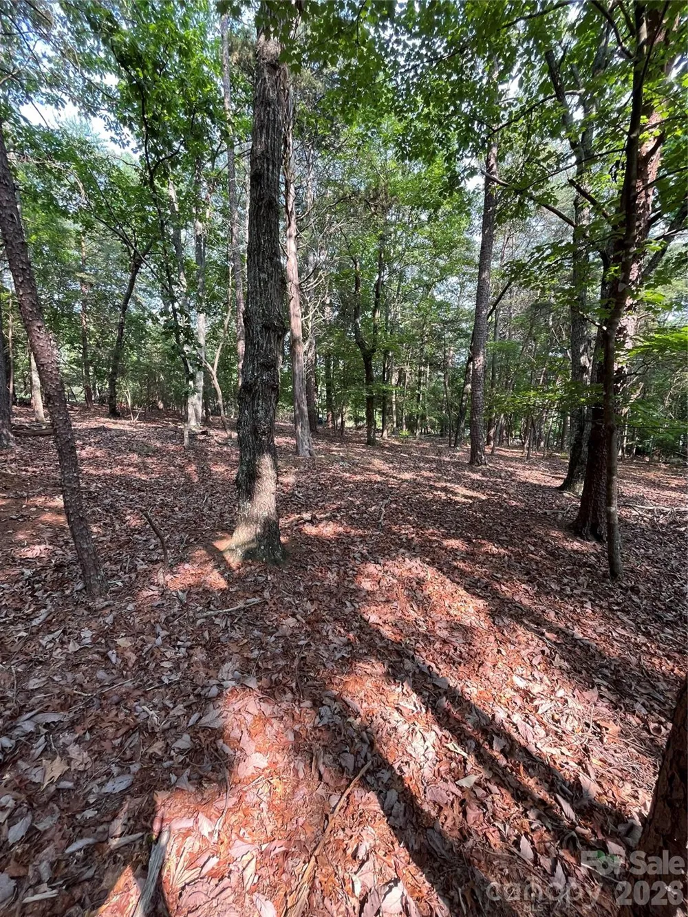 135 Deep Water Court #136 PH9 New London, NC 28127