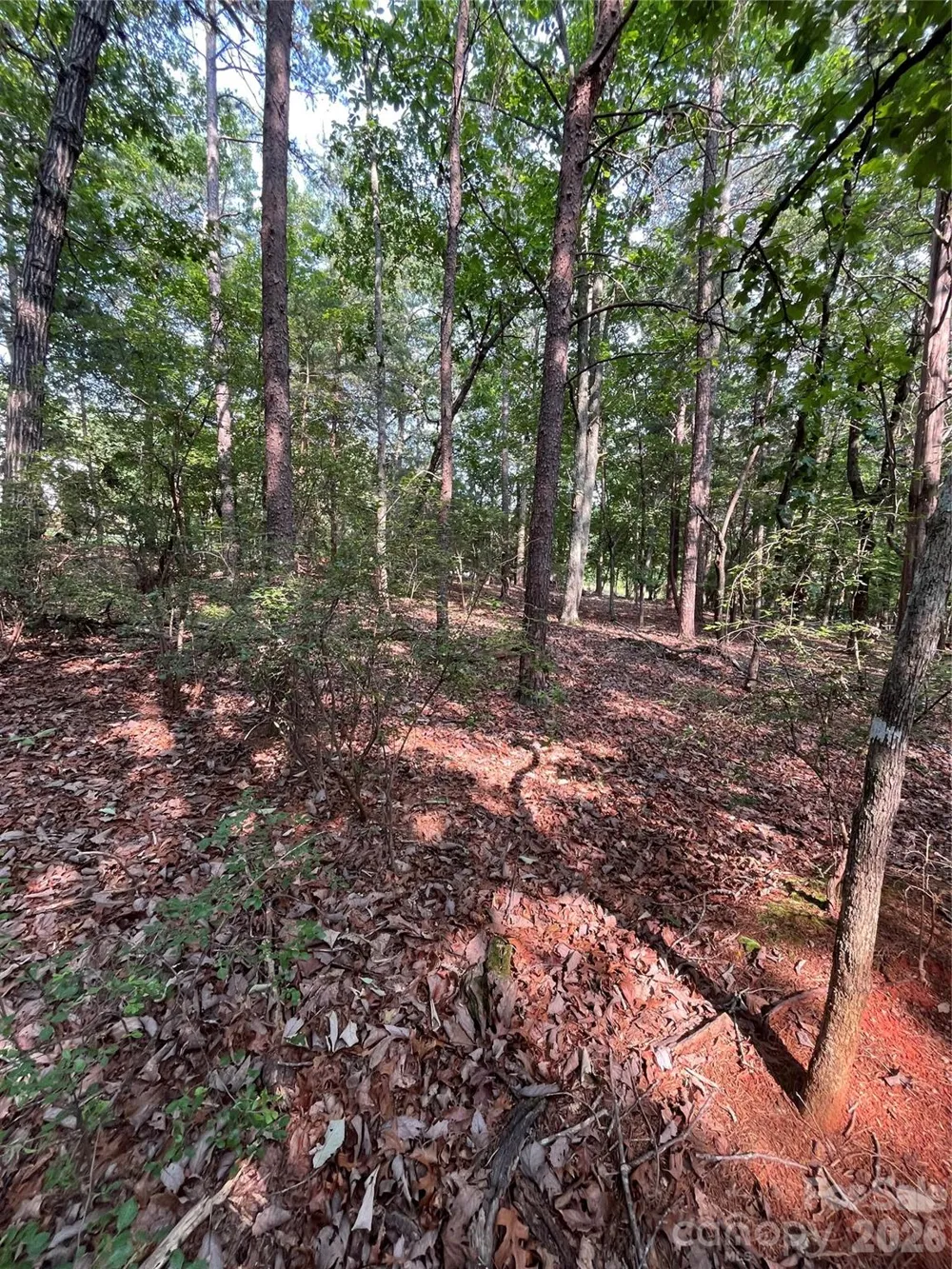 135 Deep Water Court #136 PH9 New London, NC 28127