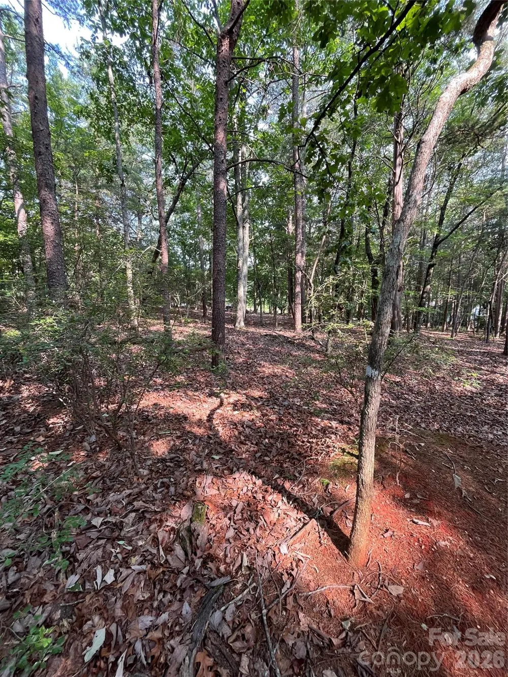 135 Deep Water Court #136 PH9 New London, NC 28127