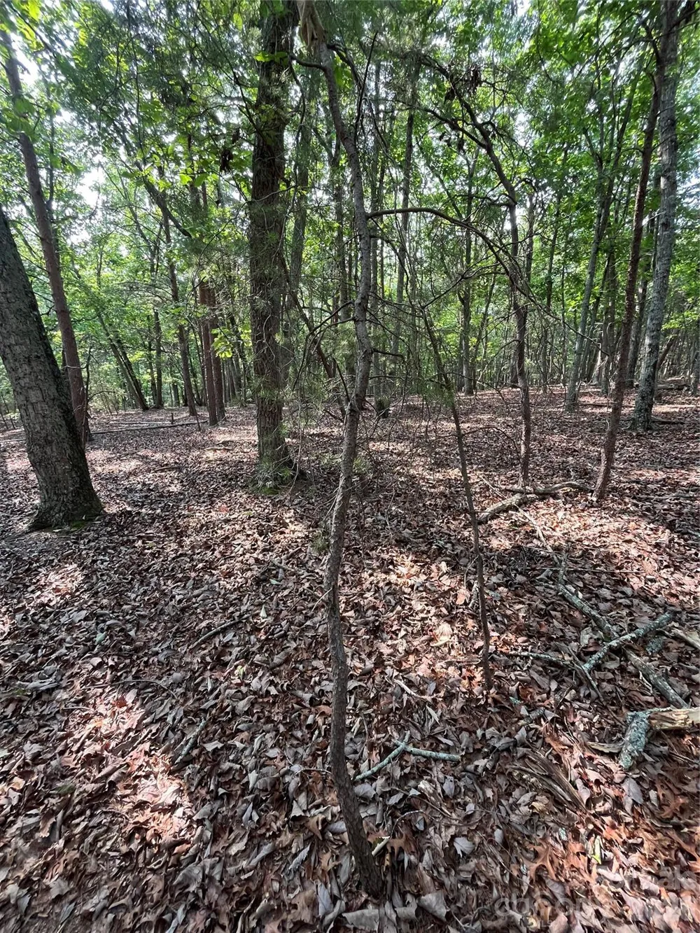 135 Deep Water Court #136 PH9 New London, NC 28127