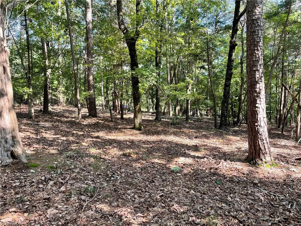 135 Deep Water Court New London, NC 28127