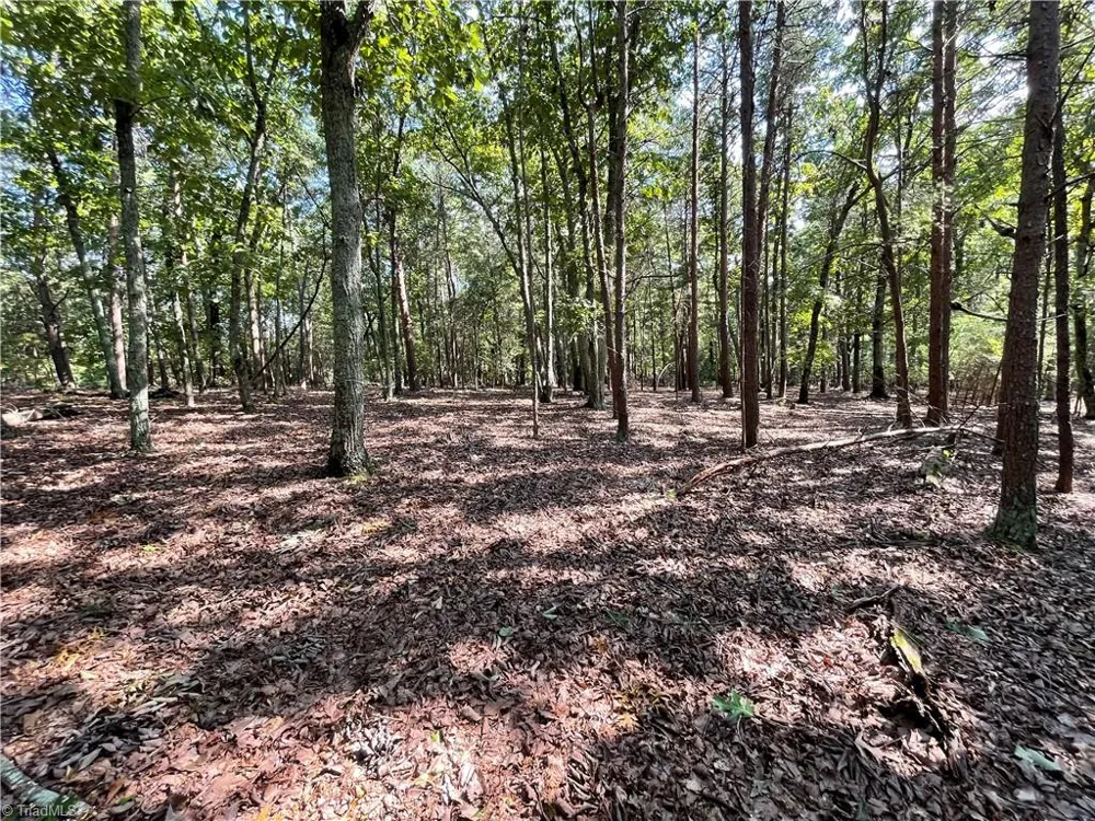 135 Deep Water Court New London, NC 28127