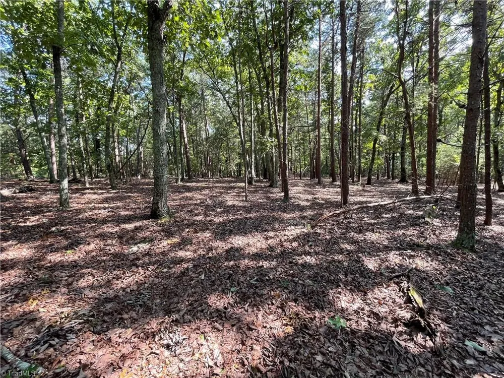 135 Deep Water Court New London, NC 28127
