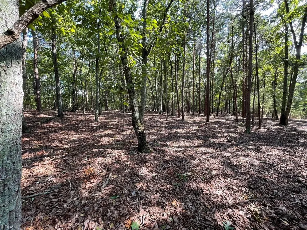 135 Deep Water Court New London, NC 28127