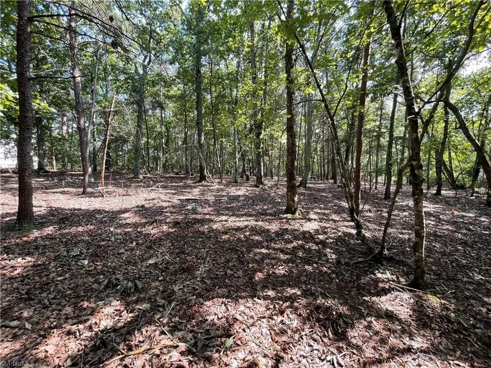 135 Deep Water Court New London, NC 28127