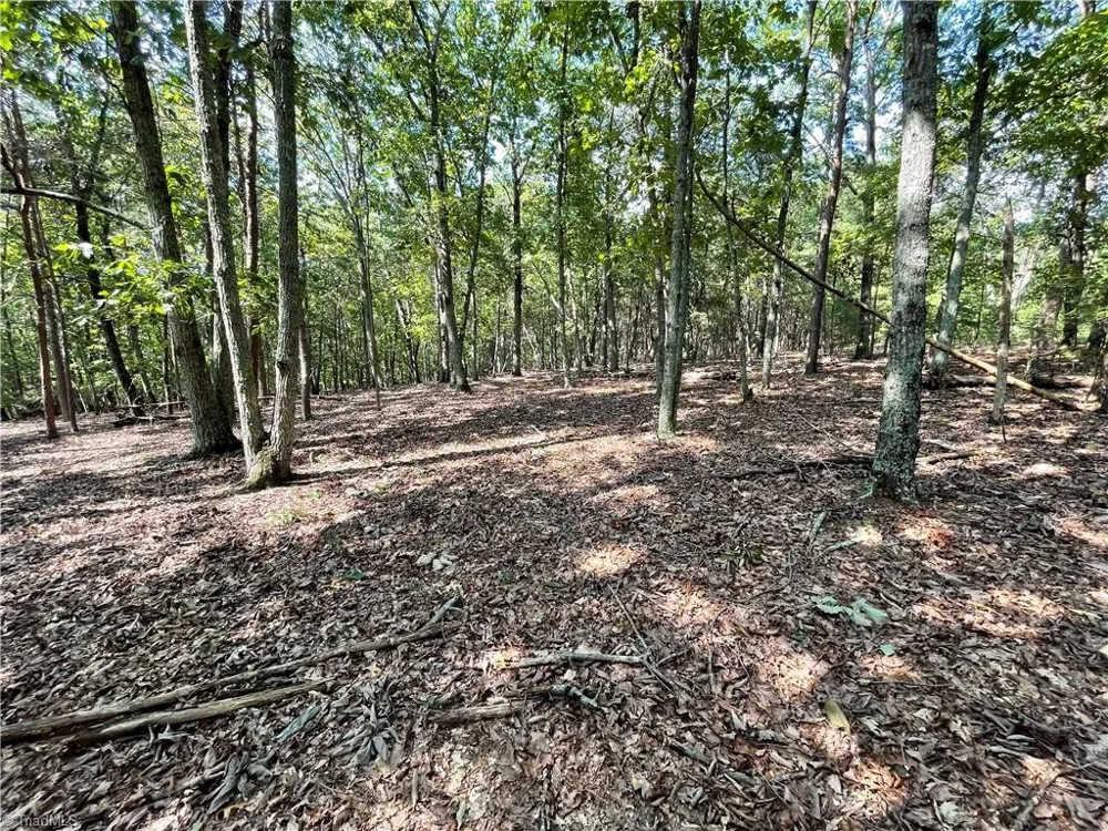 135 Deep Water Court New London, NC 28127