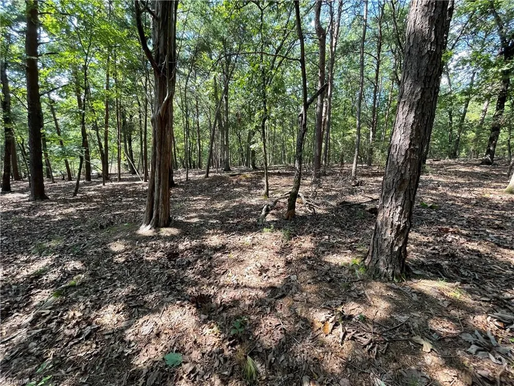 135 Deep Water Court New London, NC 28127