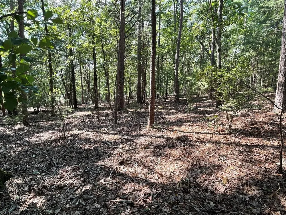 135 Deep Water Court New London, NC 28127