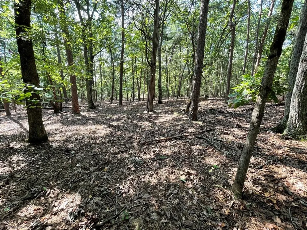 135 Deep Water Court New London, NC 28127