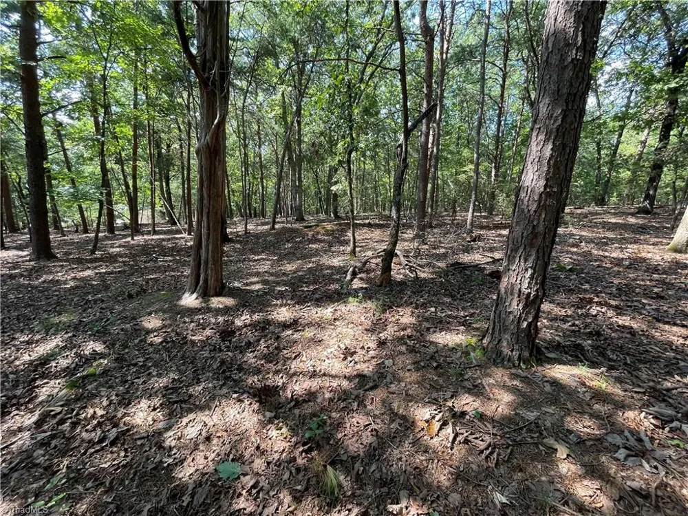 135 Deep Water Court New London, NC 28127