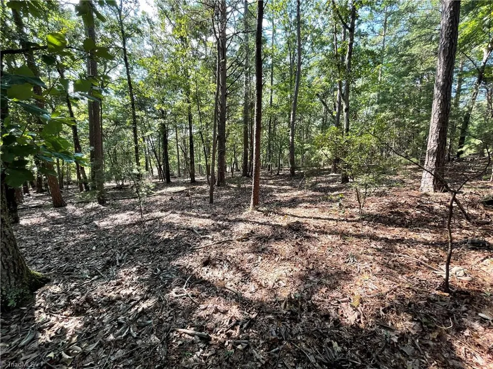 135 Deep Water Court New London, NC 28127