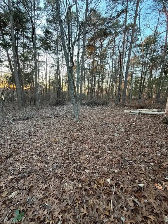 135 Deep Water Court New London, NC 28127