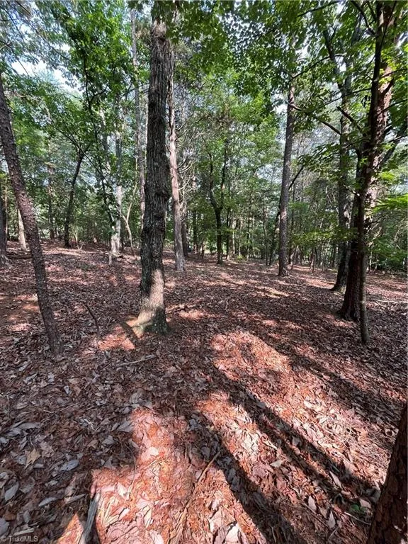 135 Deep Water Court New London, NC 28127