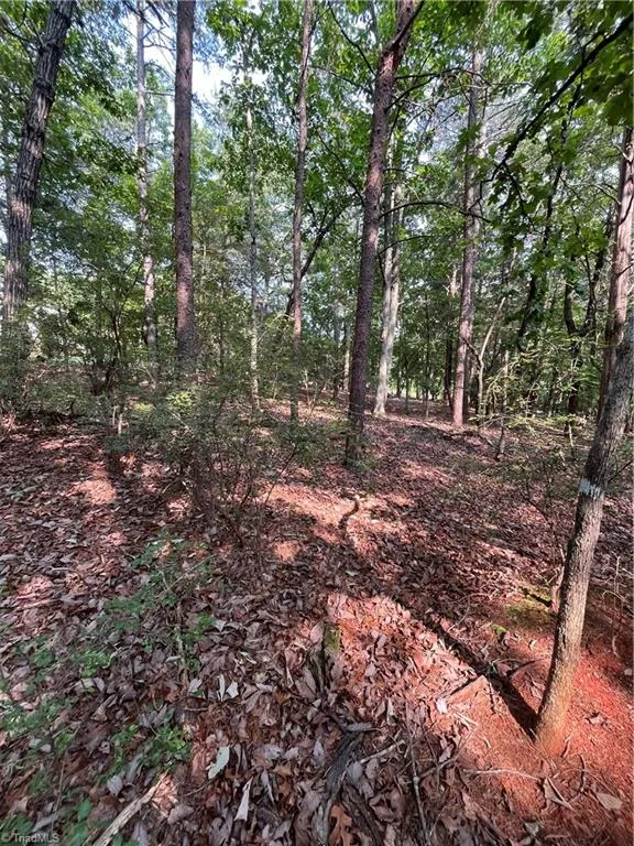 135 Deep Water Court New London, NC 28127