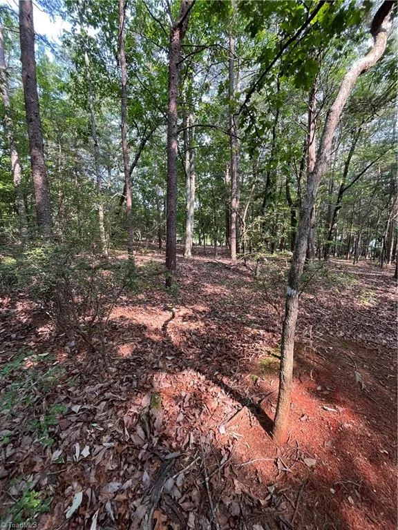 135 Deep Water Court New London, NC 28127