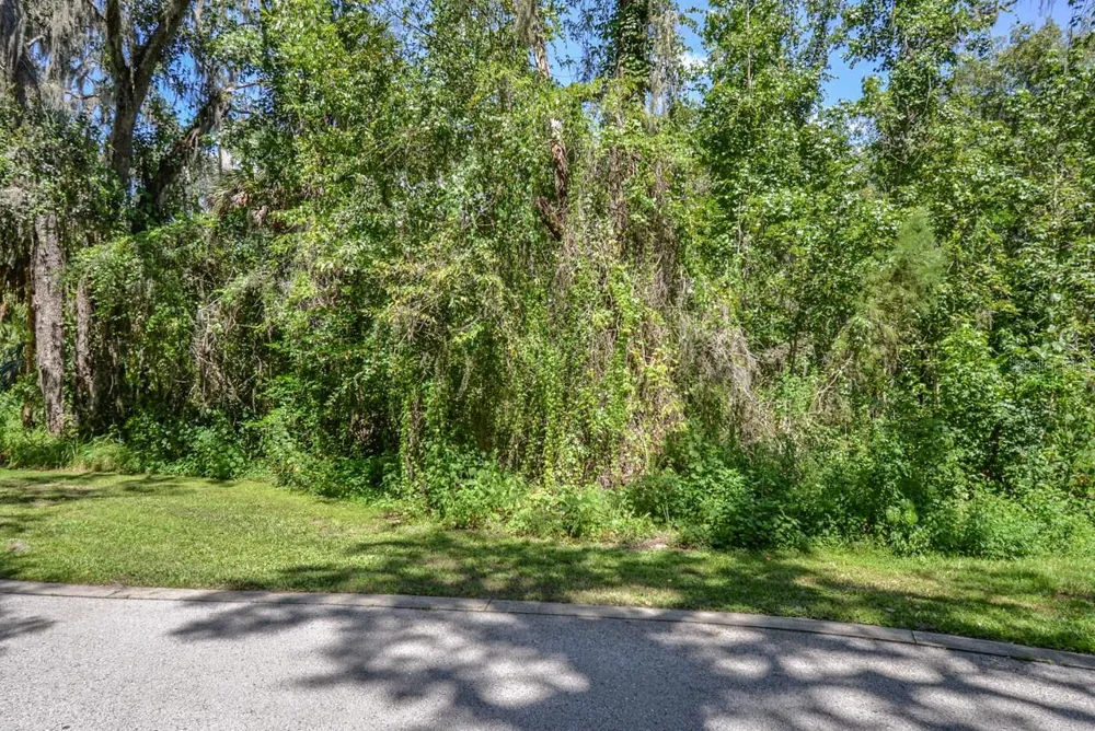4808 RAMBLING RIVER ROAD Brandon, FL 33511