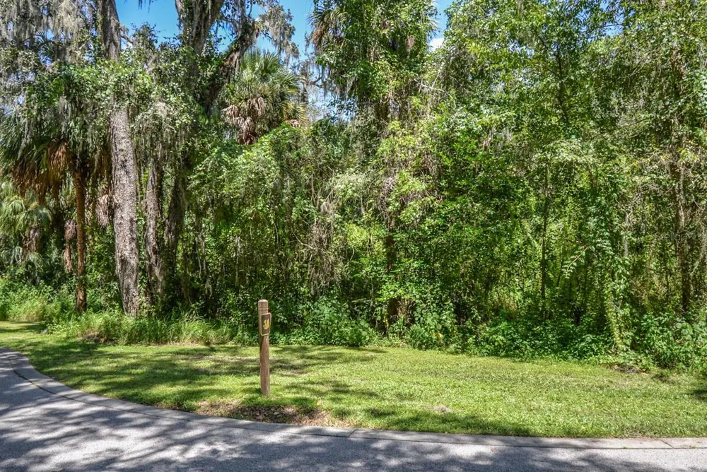 4808 RAMBLING RIVER ROAD Brandon, FL 33511